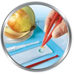 Clementoni Galileo - Natur Unter Dem Mikroskop