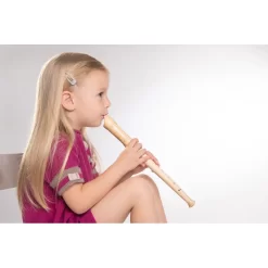 Boogie Bee Blockflöte Holz Barock, 32 Cm 18 Boogie Bee Blockflöte Holz Barock, 32 Cm -Berühmter Spielzeug Geschäft 68503019 6 1 4018501077571